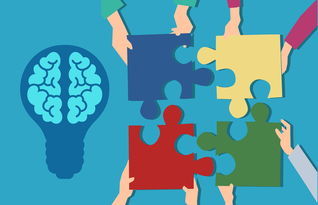 mk体育app-中小学课程内容创新，中小学创新教育