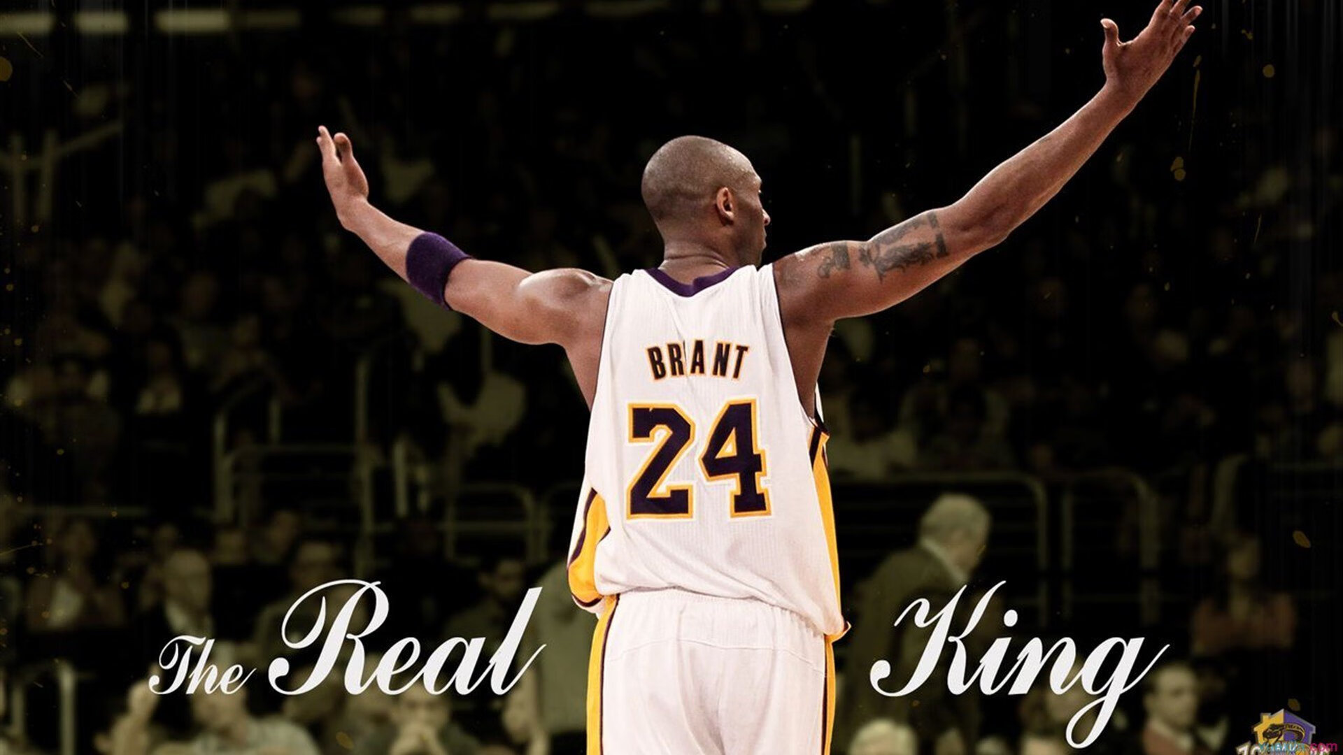 未来球员：智能训练系统辅助青训发展